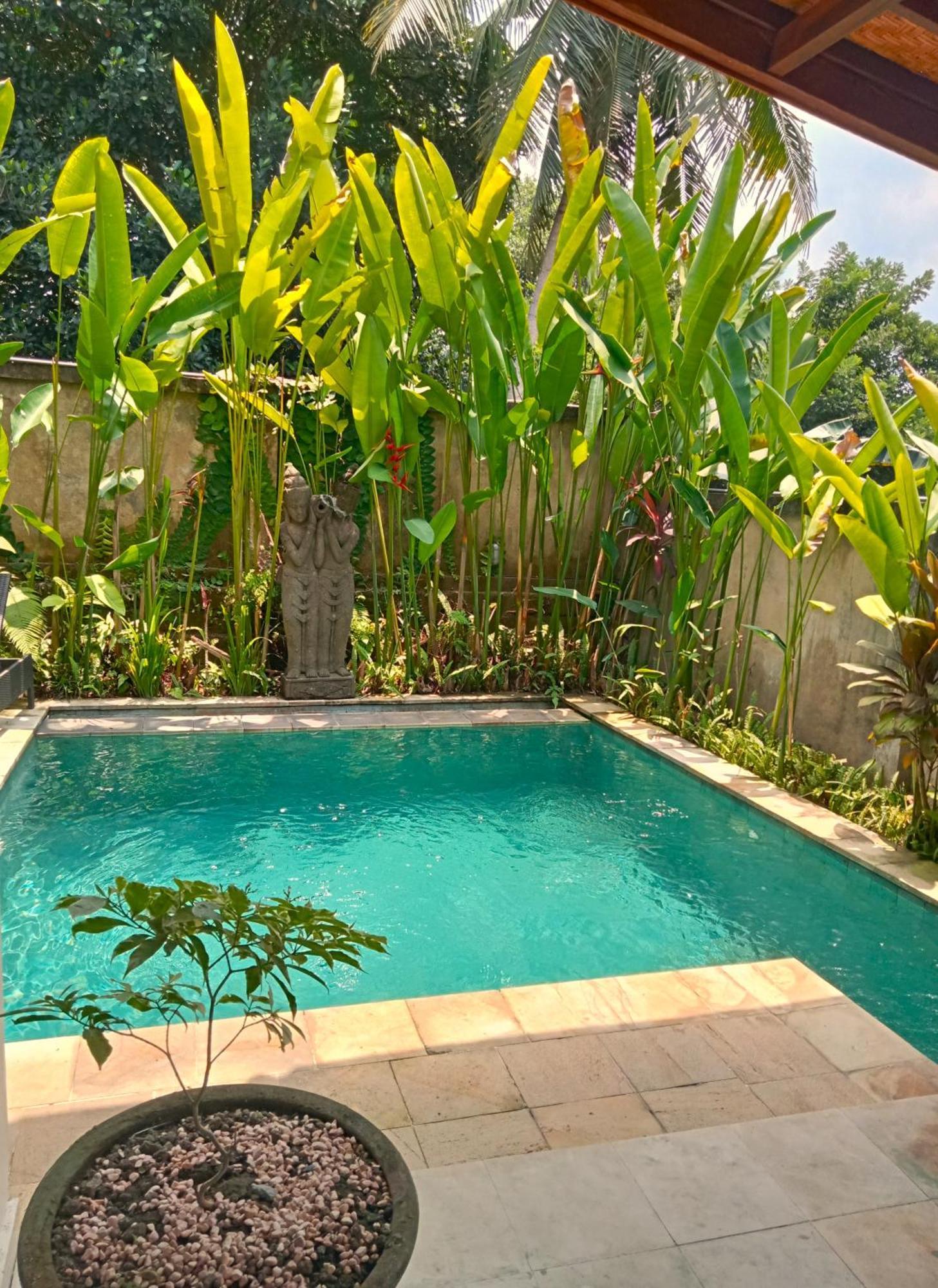 Lily Lane Villa *