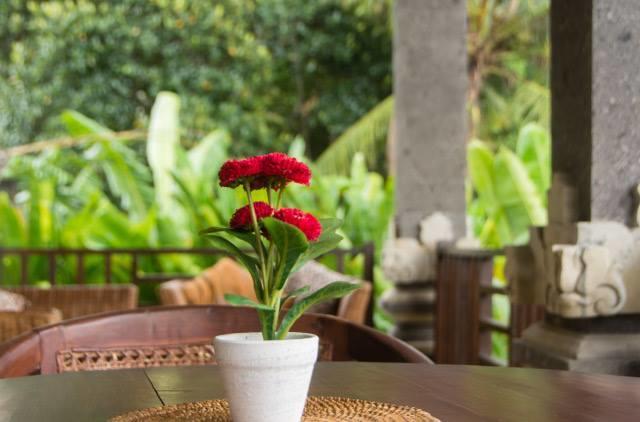 Villa Lily Lane Ubud