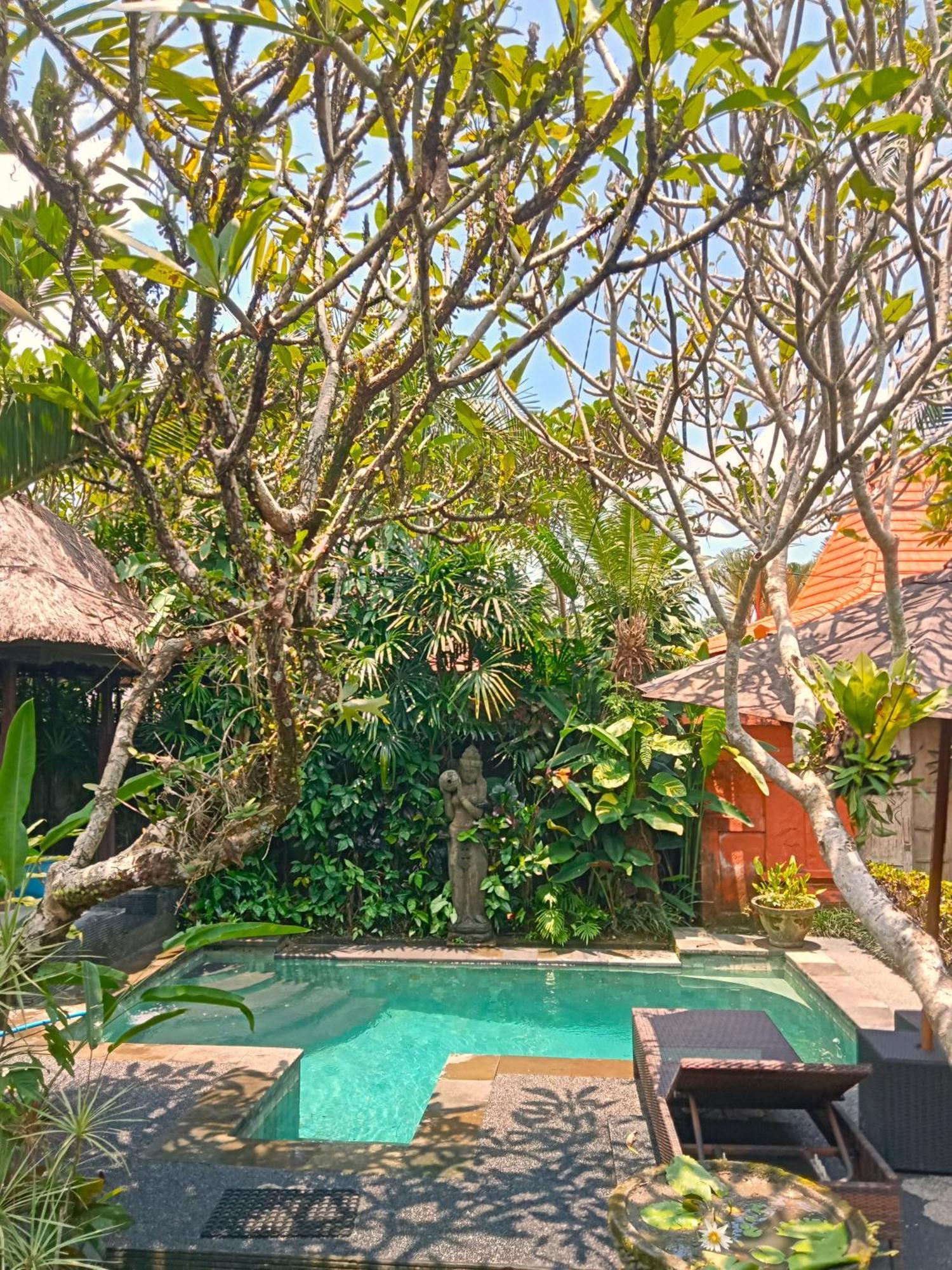 Lily Lane Ubud